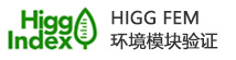 HIGG FEM 环境模块